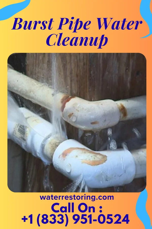 Burst Pipe Water Cleanup in North Arlington, NJ