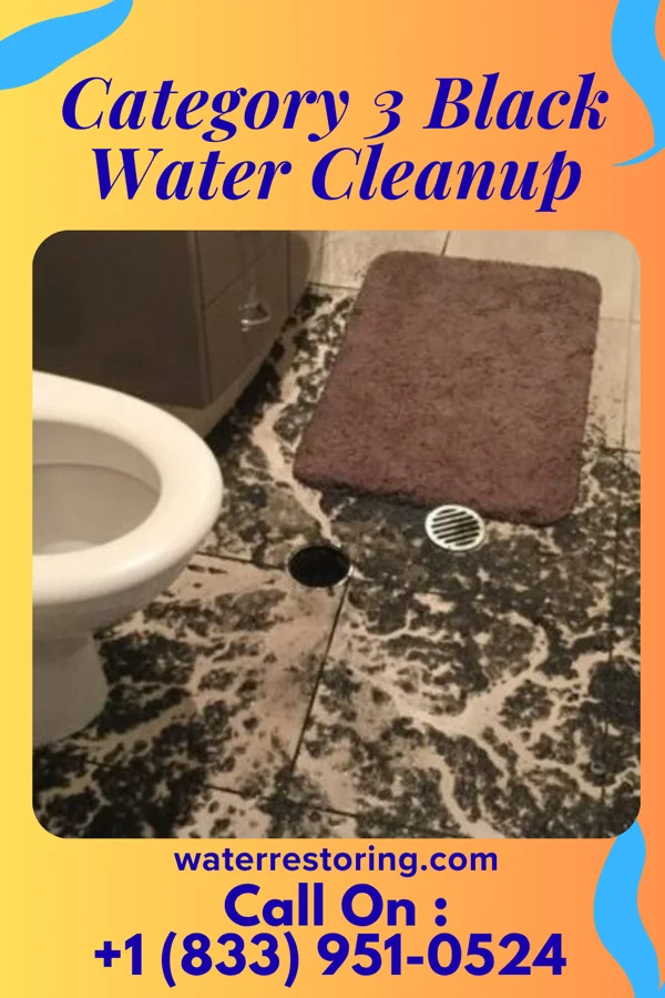 Category 3 Black Water Cleanup in North Arlington, NJ