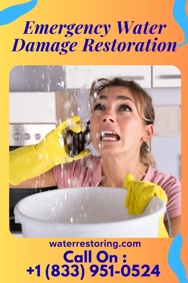 Emergency Water Damage Restoration in North Arlington, NJ