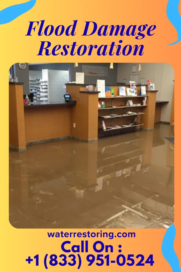 Flood Damage Restoration in North Arlington, NJ
