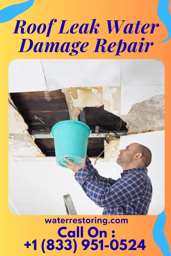 Roof Leak Water Damage Repair in North Arlington, NJ