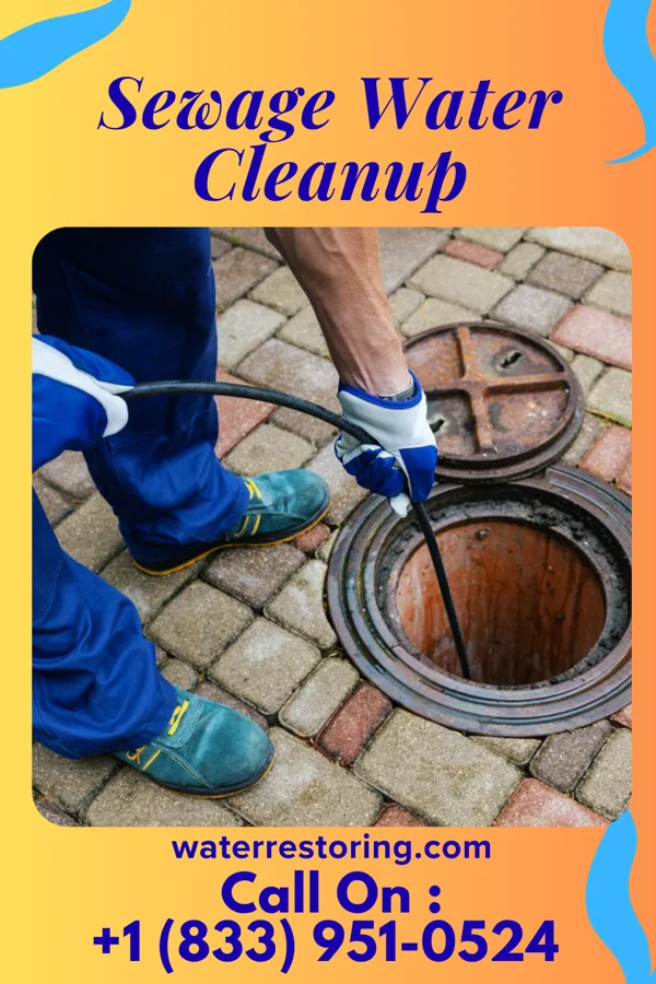 Sewage Water Cleanup in North Arlington, NJ